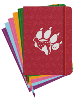 Book Decor