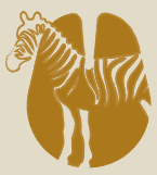 Ícone